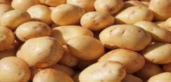 Potato