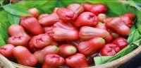 နှင်းသီး